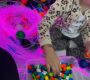 480590362_1181467240650705_1065518864036475417_n 90x80